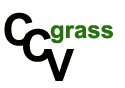 CCV Grass